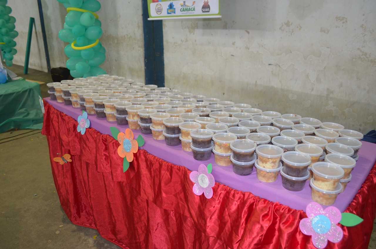 Secretaria de Assistência Social e CRAS lançam Programa Criança Feliz